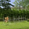 PawHut 6 Piece Dog Agility Set with Adjustable Height Jump Bars, Carry Bag, Displacing Top Bar, White